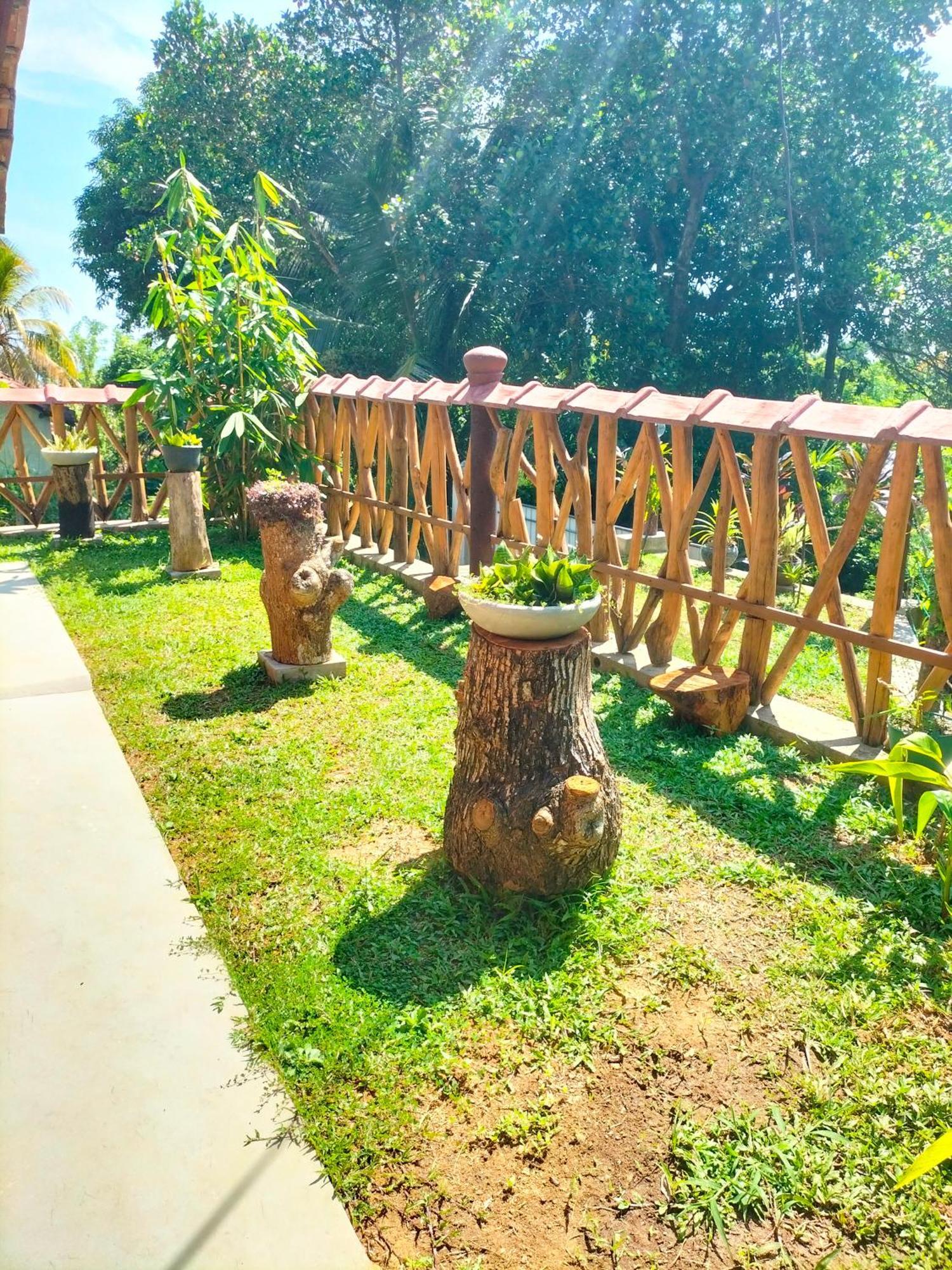 Вілла Blue Ocean Tree House Hiriketiya Діквелла Екстер'єр фото